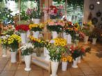 Gärtnerei Blumen-Lechner
